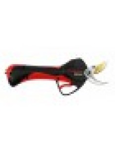 psalidi_kladematos_platis3